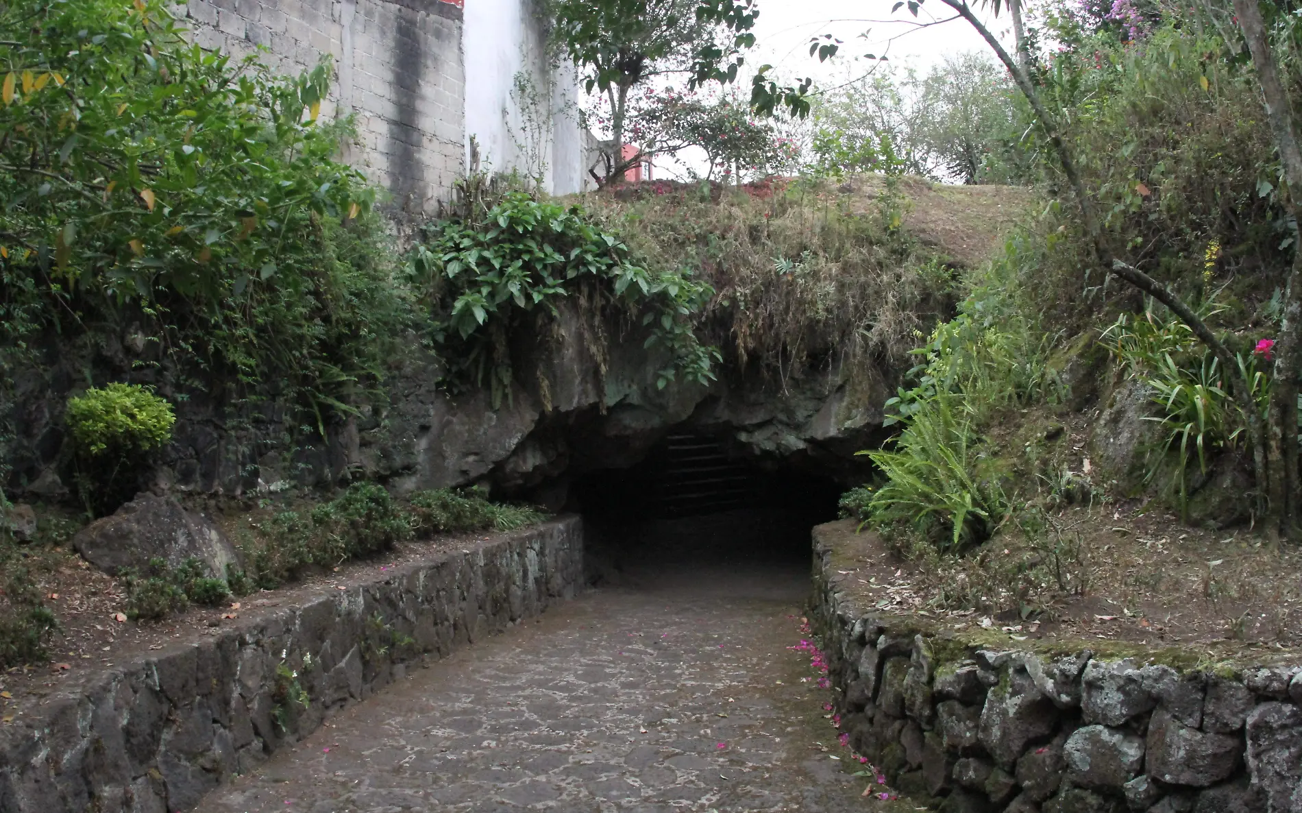 JE220420241160Cueva de la Orquidea